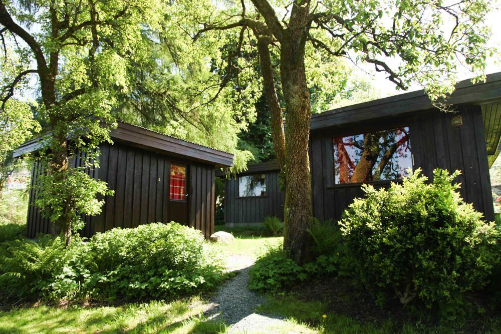 Hjelmeland Hostel Nokling מראה חיצוני תמונה